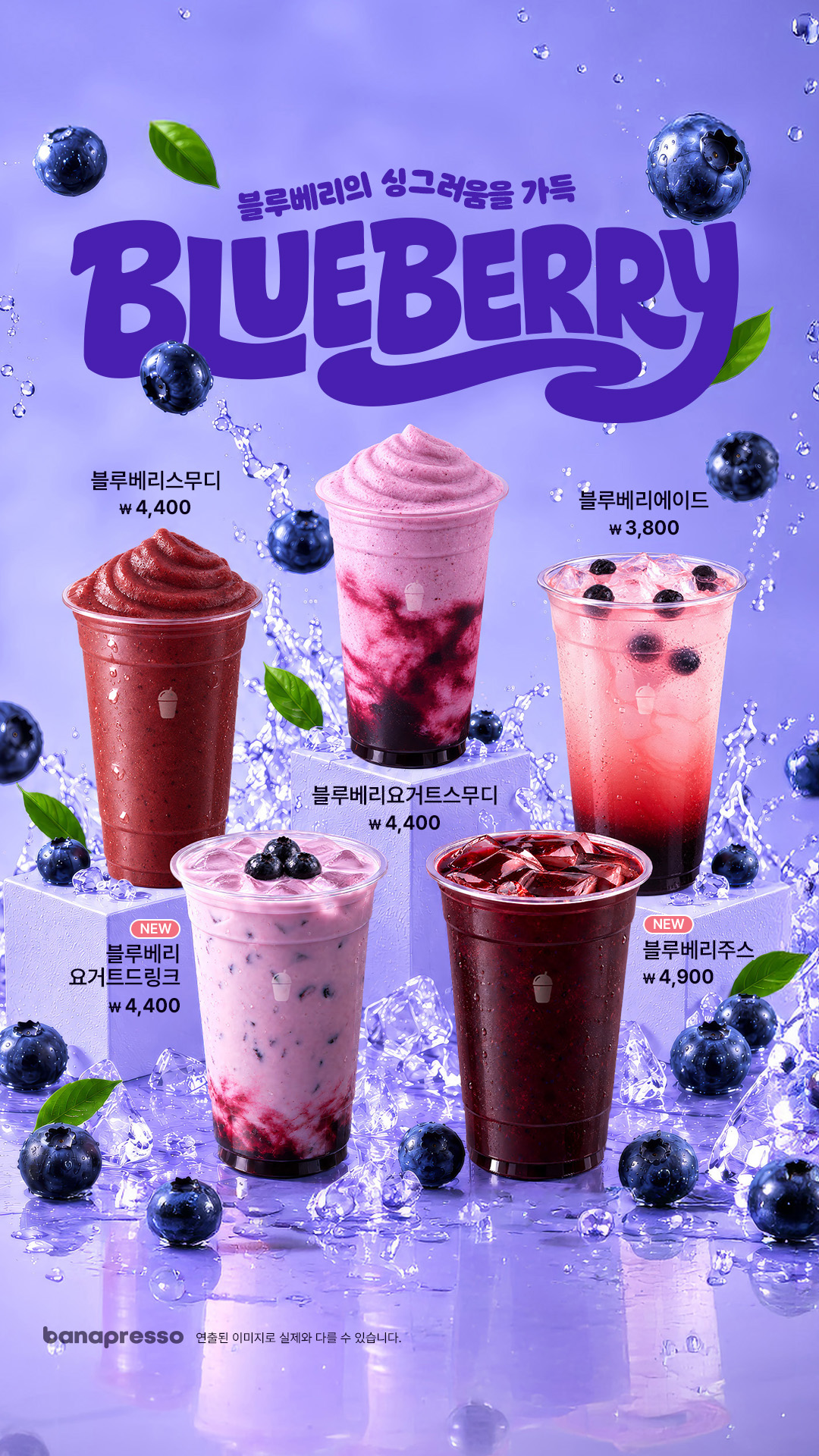 블루베리 5종